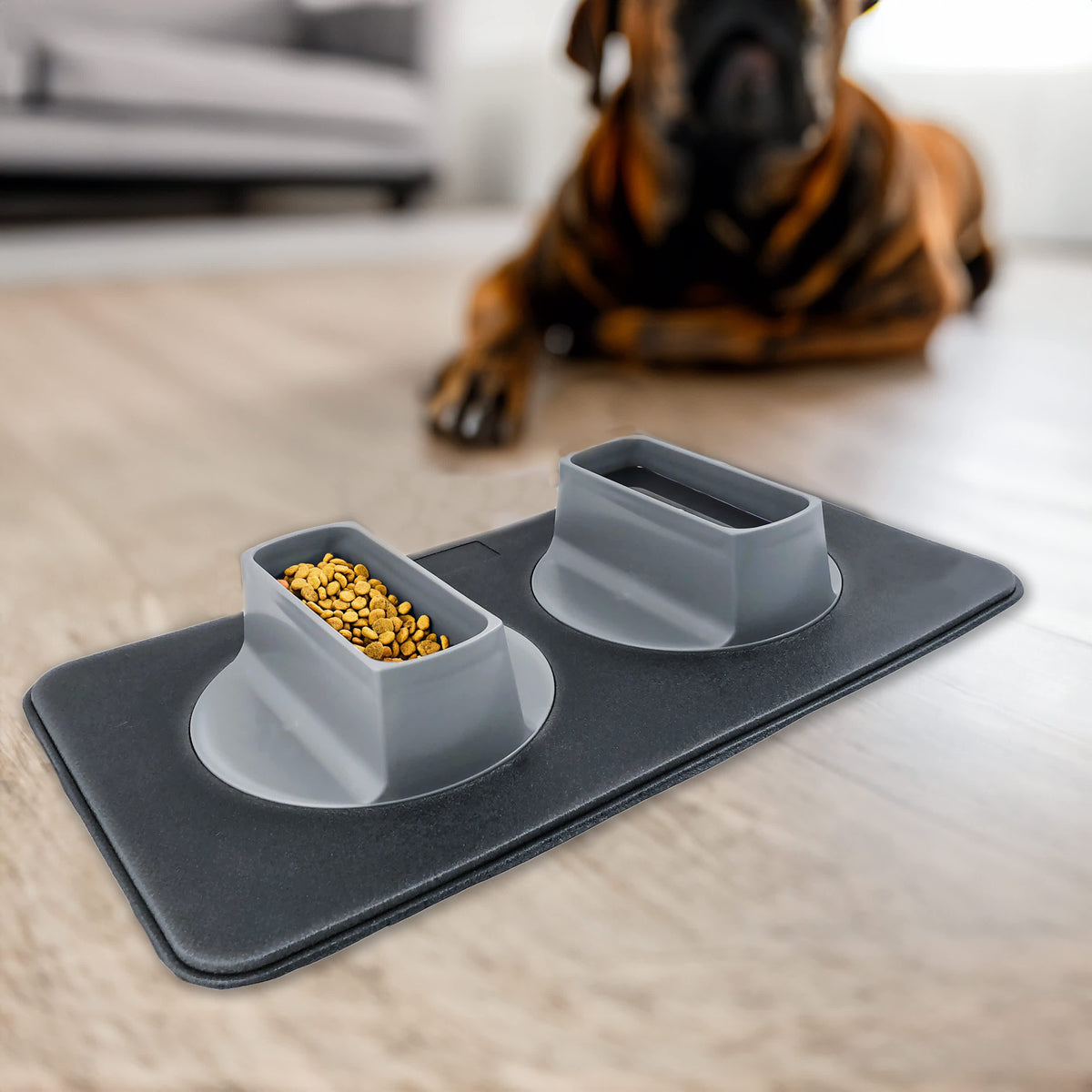 Ear-Clear Pet Feeding Station