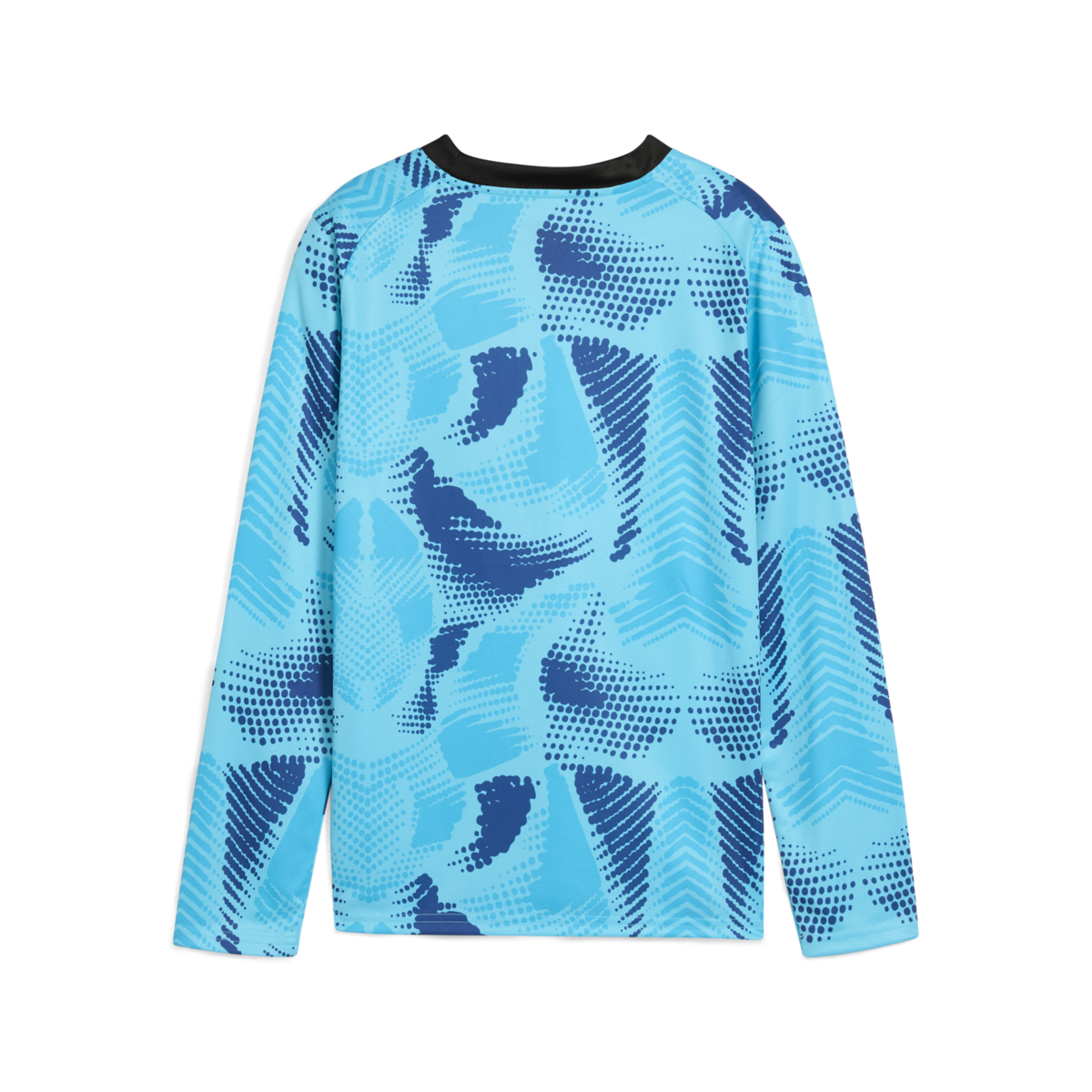 Puma Teamtarget Long Sleeve Youth Goalkeeper Jersey - Blue