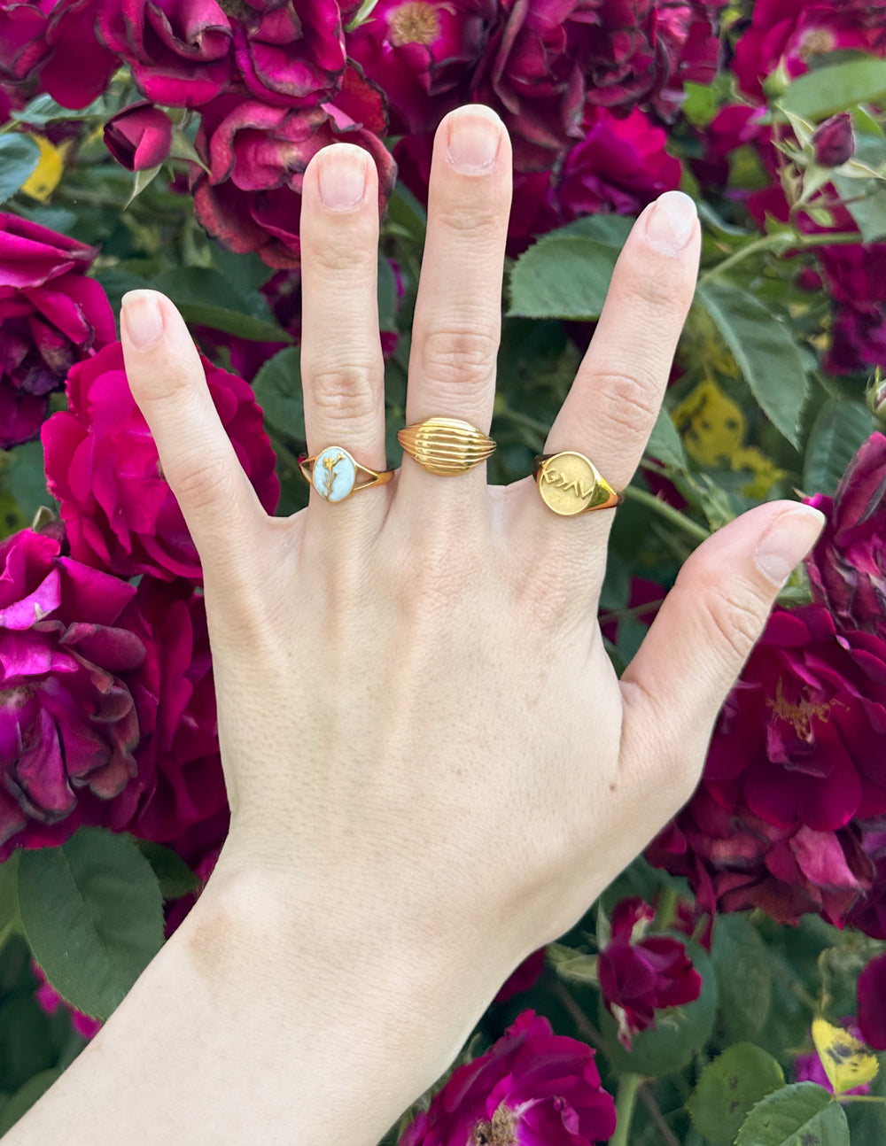 Elevated Faith Prophecy Ring