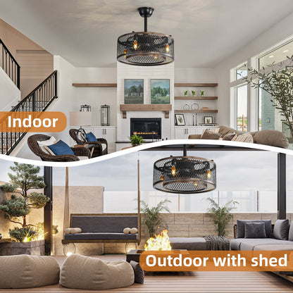 20-Inch Caged Ceiling Fan with Lights