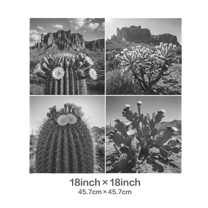 Baha Ranch Black White Cactus Velvety Soft Pillow Case Made in America