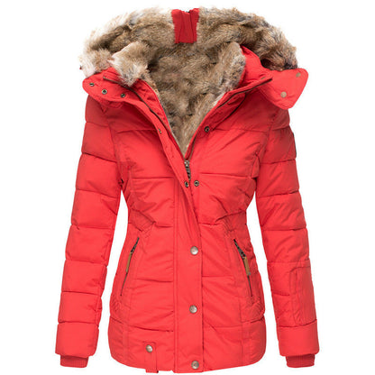 Zipper long sleeved slim fit cotton jacket hooded coat