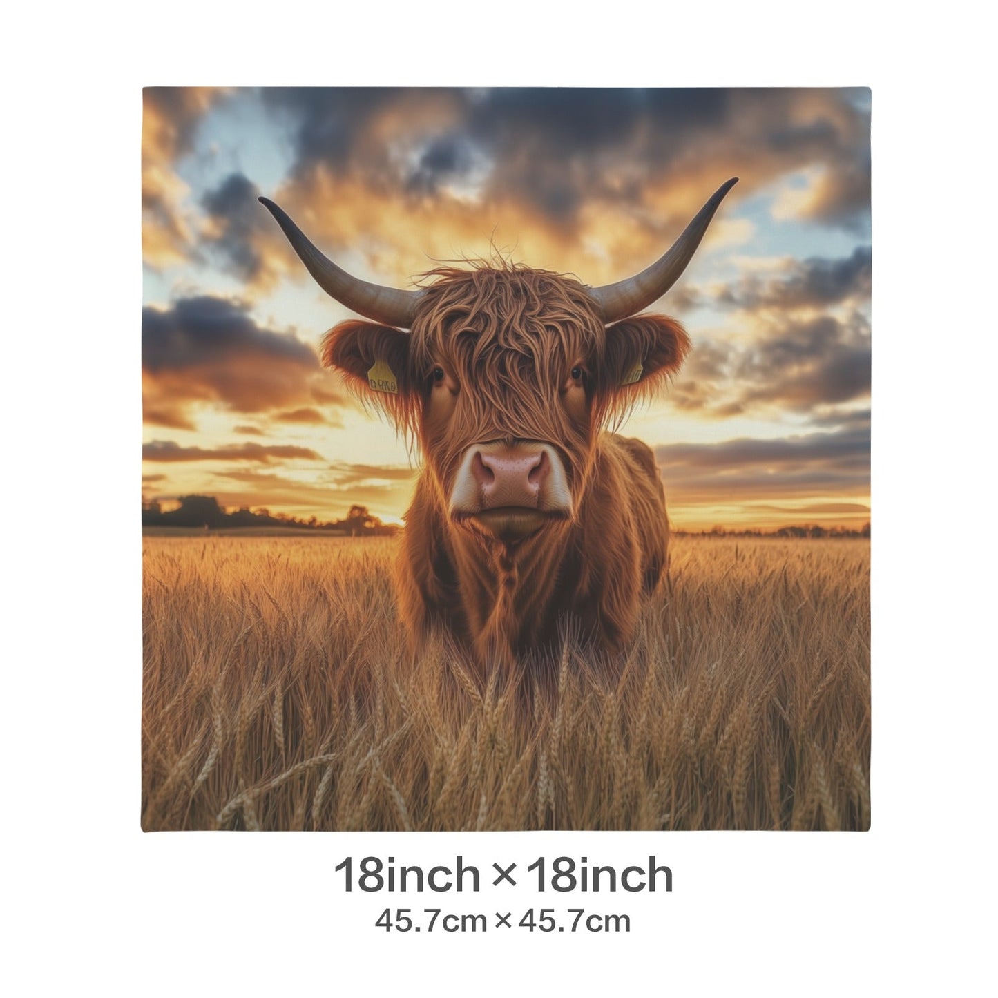 Baha Ranch Beautiful Highland Velvety Soft Pillow Cover Made in America