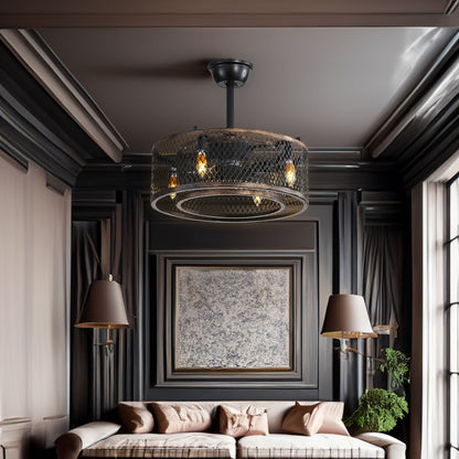 20-Inch Caged Ceiling Fan with Lights