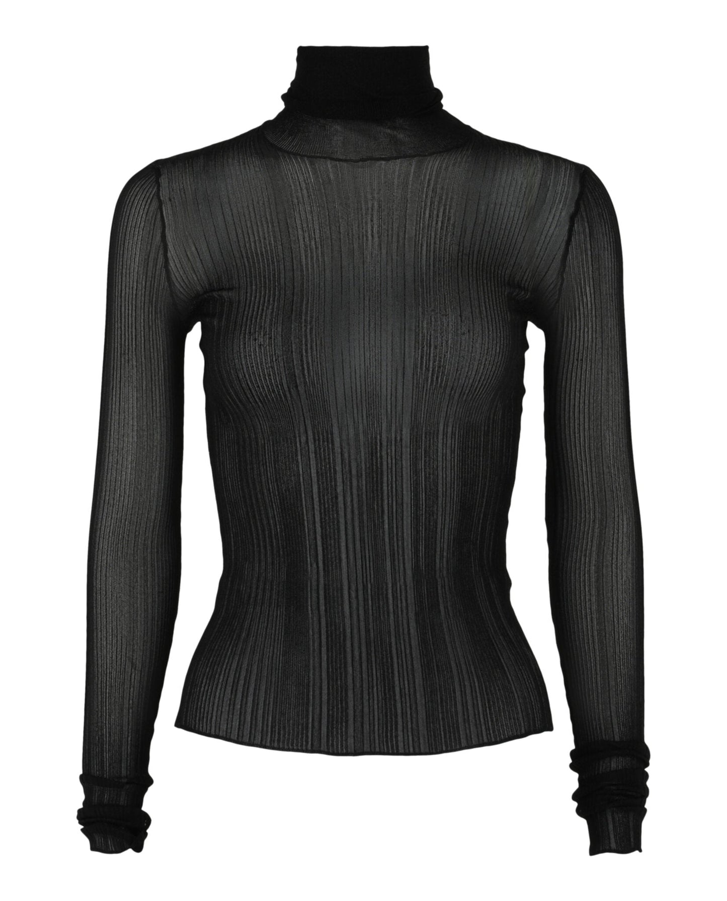 Givenchy Sheer Stretch Turtleneck