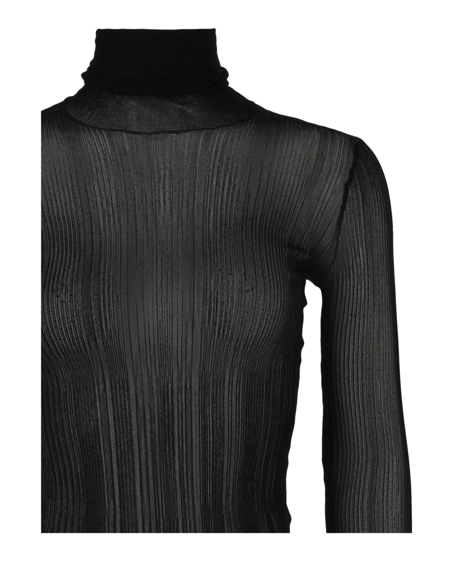 Givenchy Sheer Stretch Turtleneck