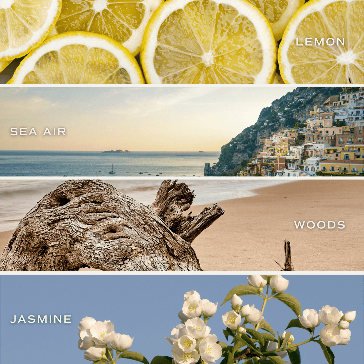 Coastal Lemon Soy Candle - Tinted Glass Jar - 12 oz