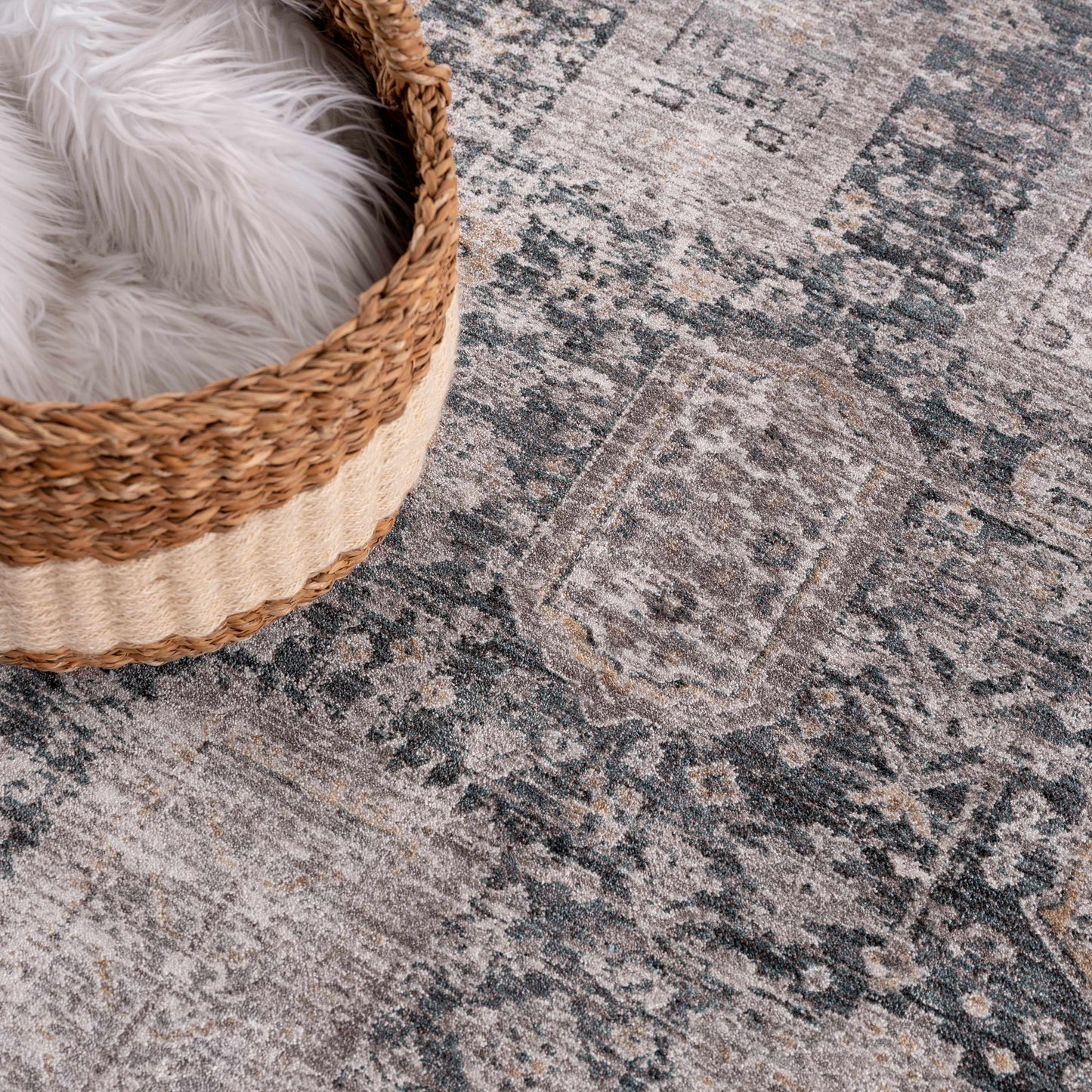Elsu Area Rug