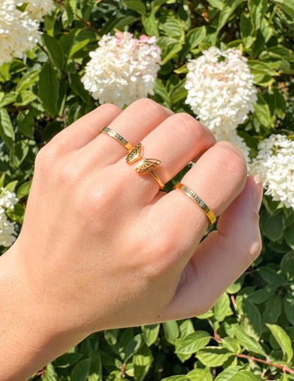 Elevated Faith Romans 3:23 Ring