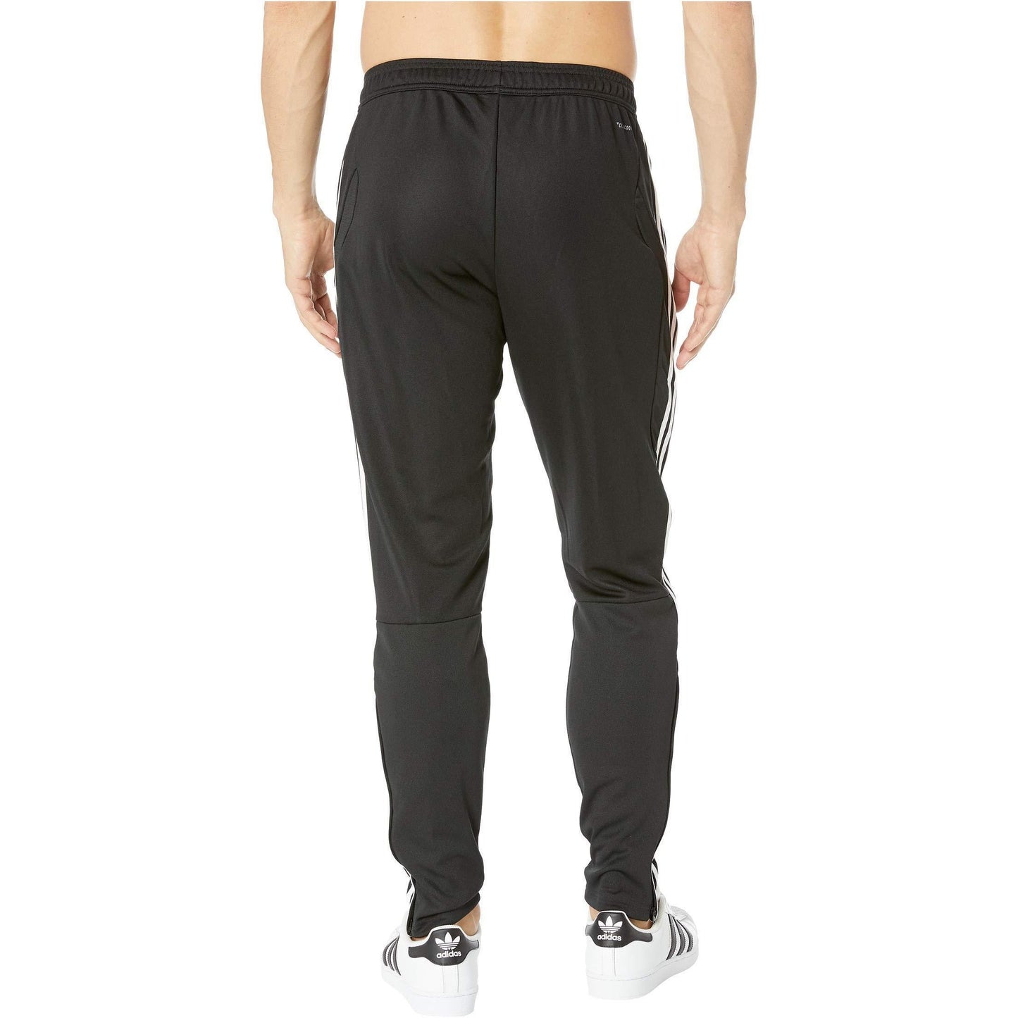adidas Men's Tiro19 Training Pant