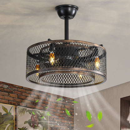 20-Inch Caged Ceiling Fan with Lights