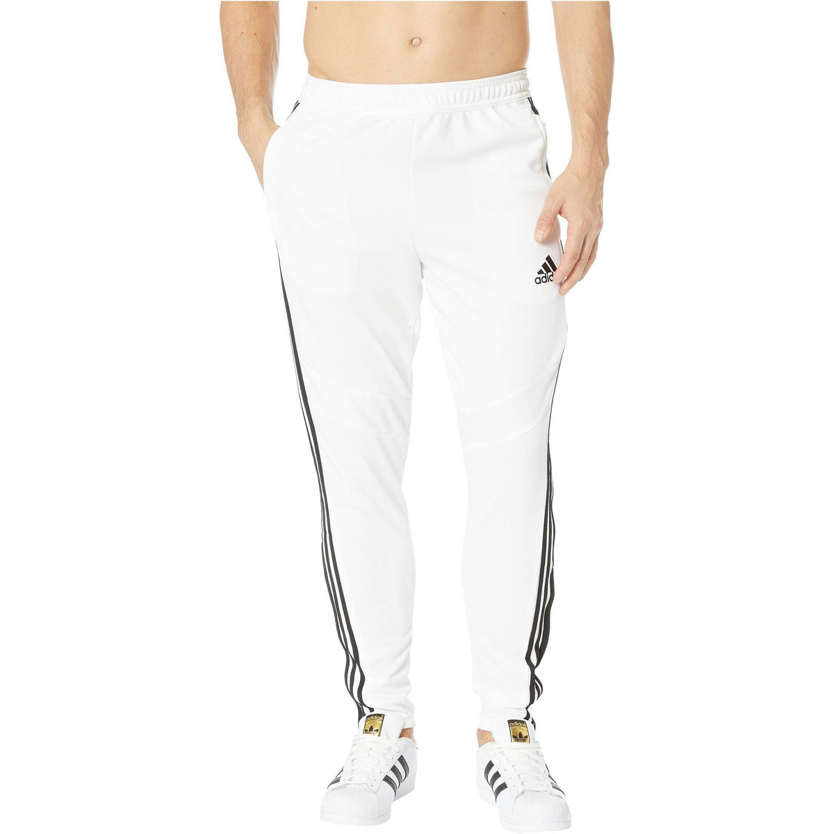 adidas Tiro19 Training Pant