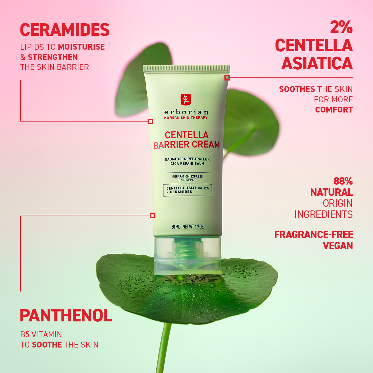 Centella Barrier Cream (50ml)