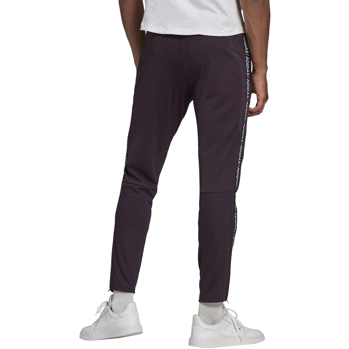 adidas Men's Tiro19 Training Pant