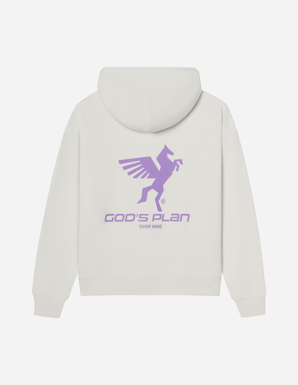 Elevated Faith God's Plan Racing Unisex Hoodie