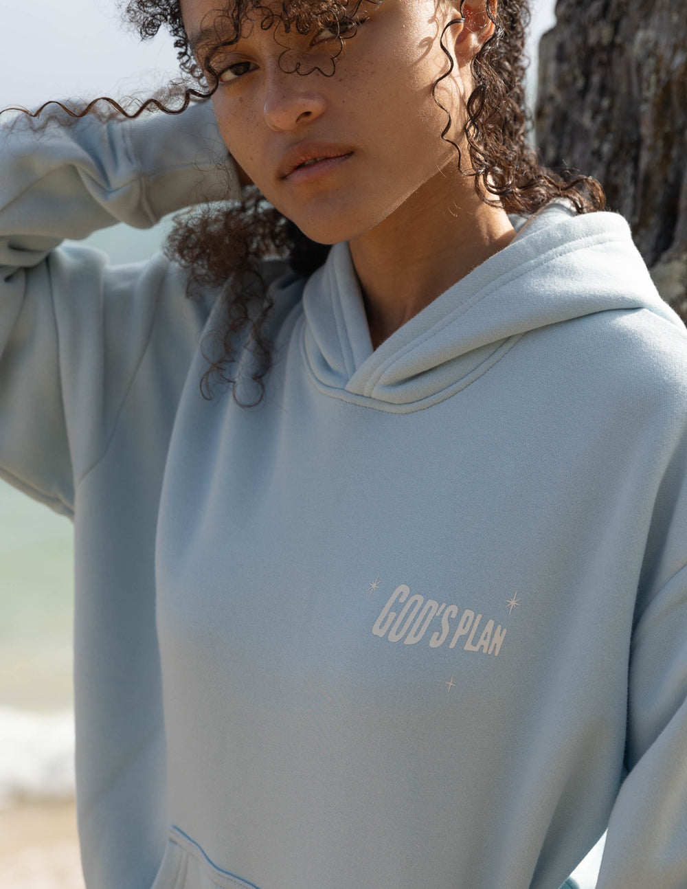 Elevated Faith God's Plan Unisex Hoodie