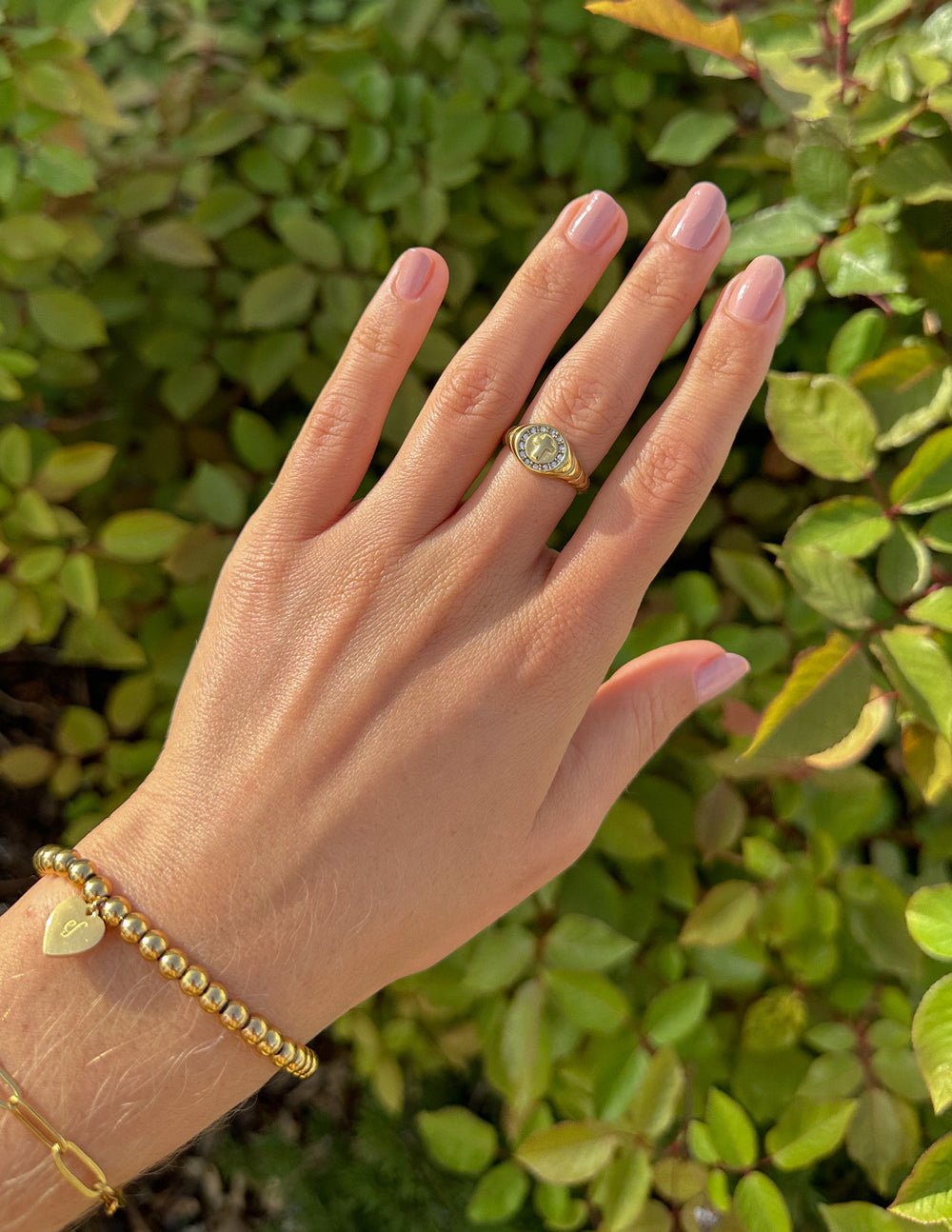 Elevated Faith Kingdom Signet Ring