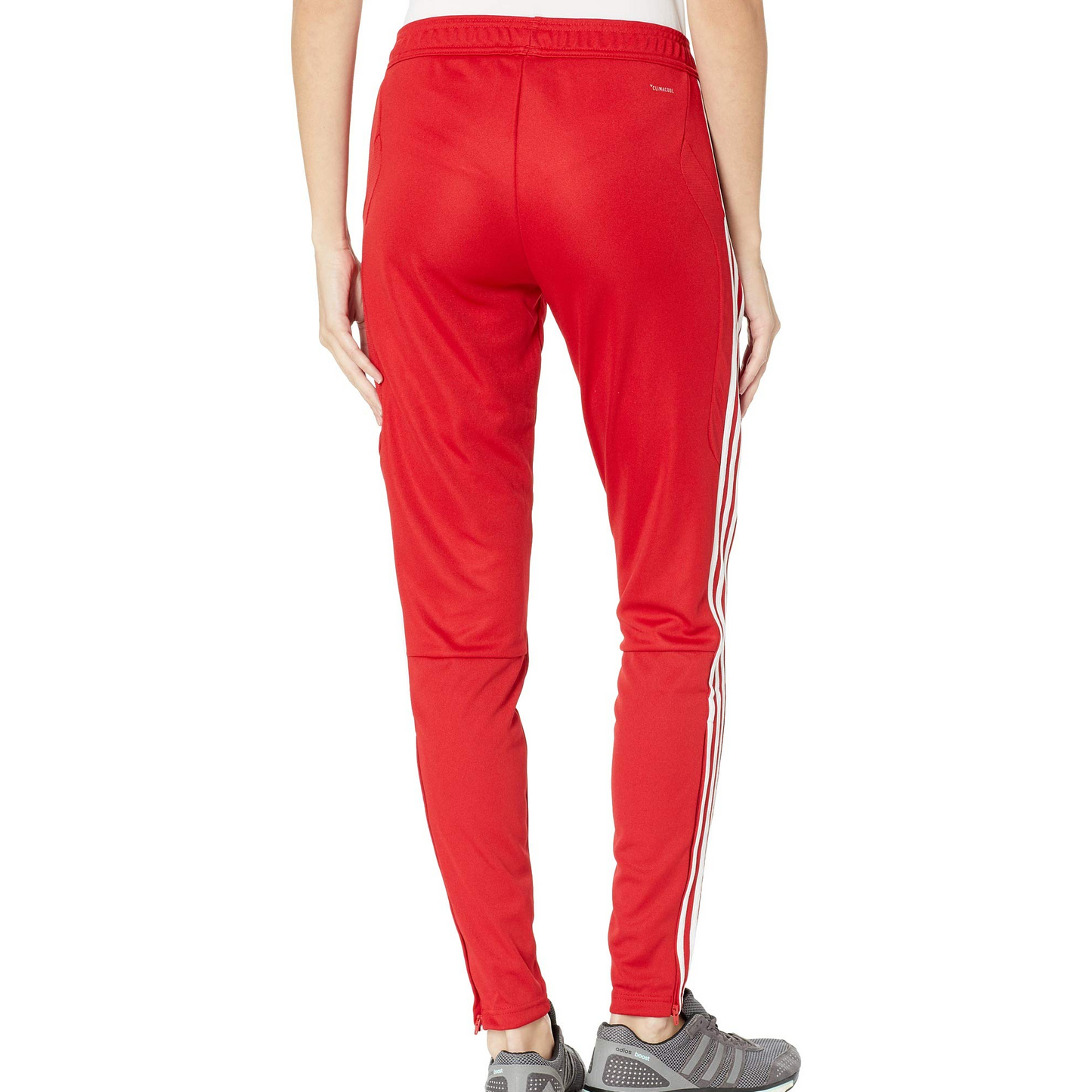 adidas Women's Tiro19 Training Pant Pants