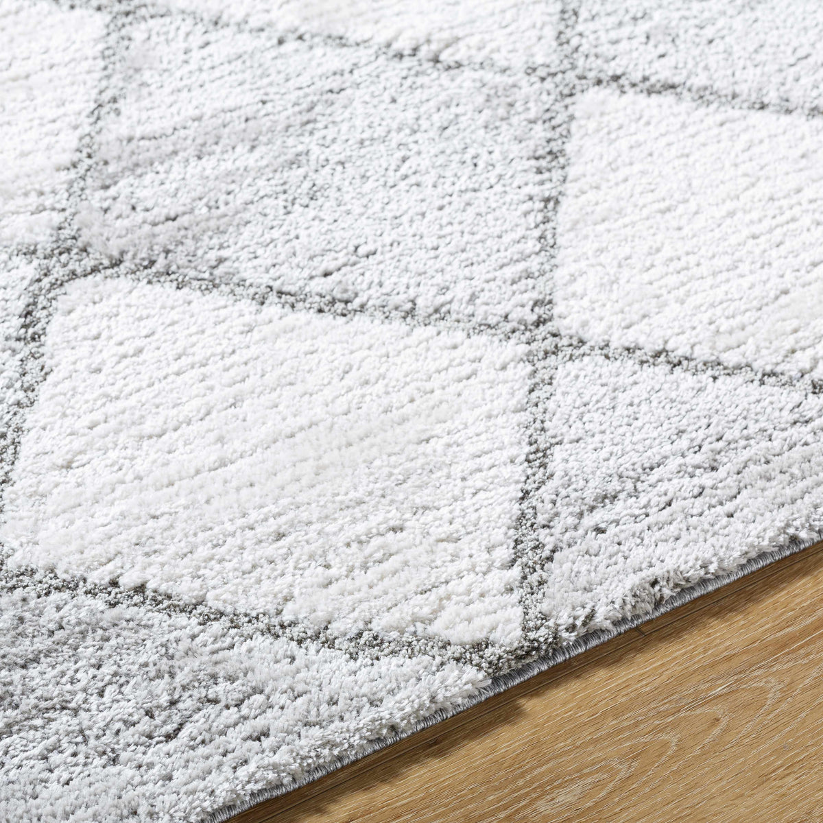 Aideen Gray Shag Area Rug