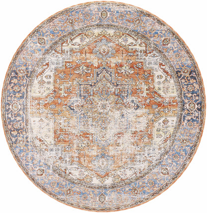 Basim Area Rug - Clearance