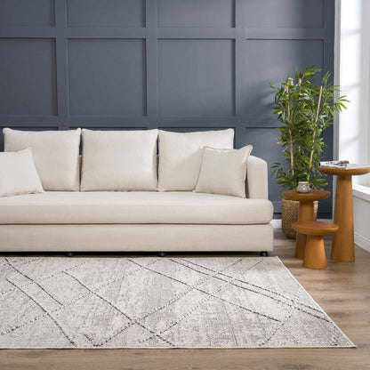 Baqer Bone & Taupe Textured Performance Outdoor Rug - Clearance