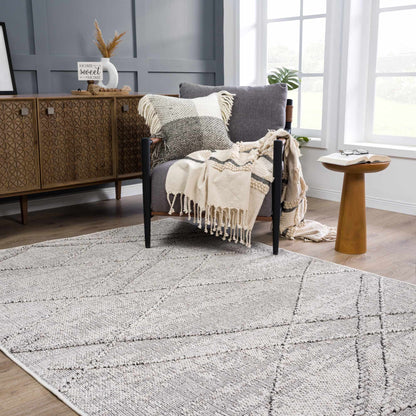 Baqer Bone & Taupe Textured Performance Outdoor Rug - Clearance