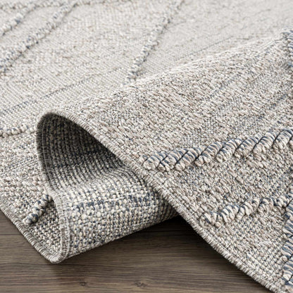 Baqer Taupe & Gray Textured Performance Outdoor Rug - Clearance