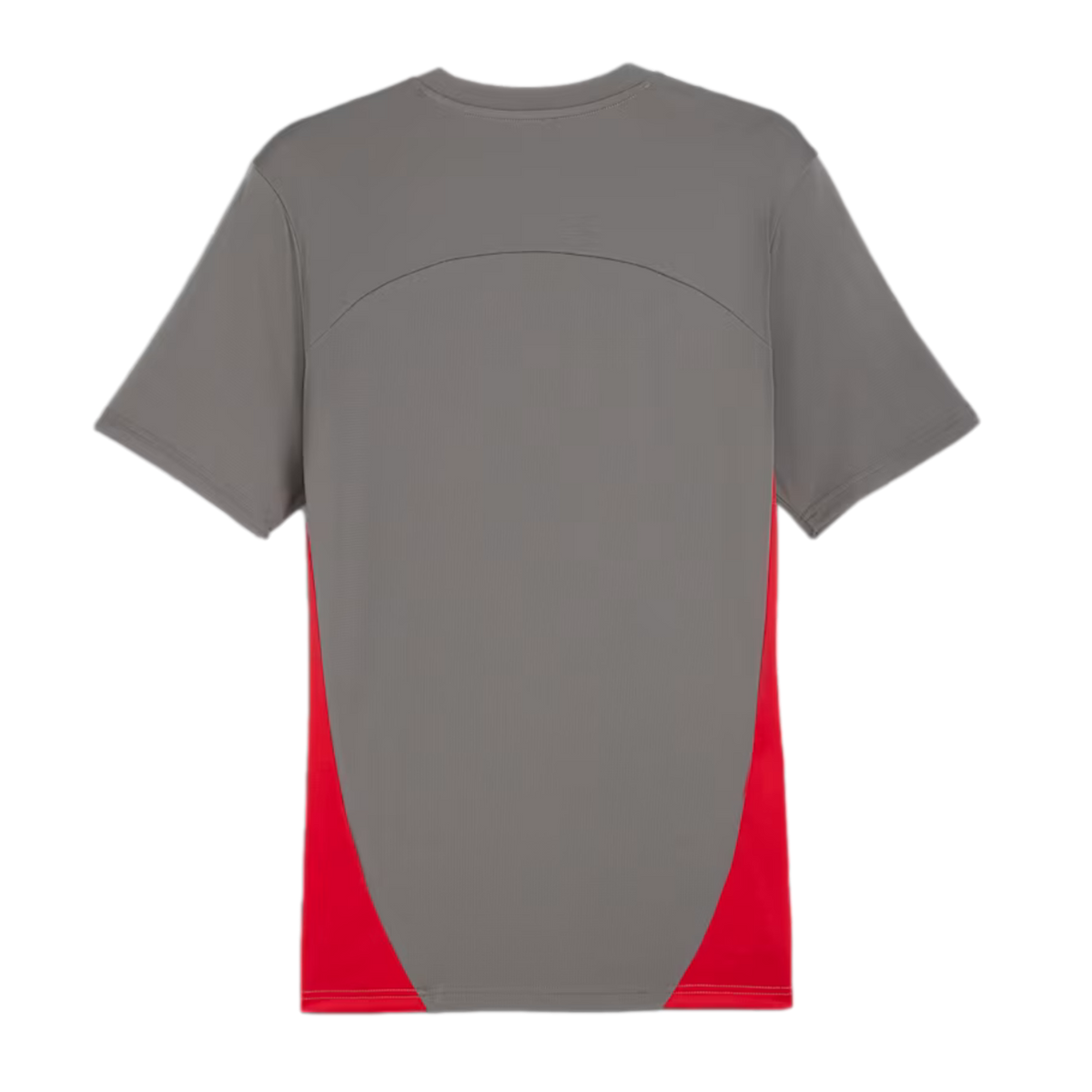 Puma AC Milan Training Jersey
