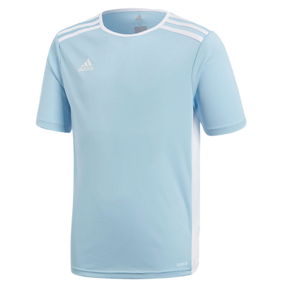 Adidas Entrada 18 Youth Jersey - Blue