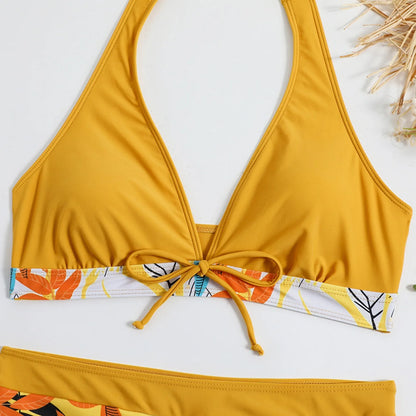 Women's Paneled Printed Swimsuit Ladies Fashion High Waist Swimsuit Two-Piece Set V-Neck Bathing Suits Female