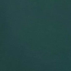 Jolyn Surf Piha Low Rise Swim Bottom - Zucchini