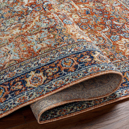 Ania Outdoor Area Rug - Clearance