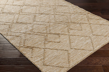 Buse Hand Woven Beige Area Rug - Clearance