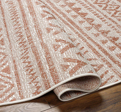 Chuck Outdoor Area Rug - Clearance