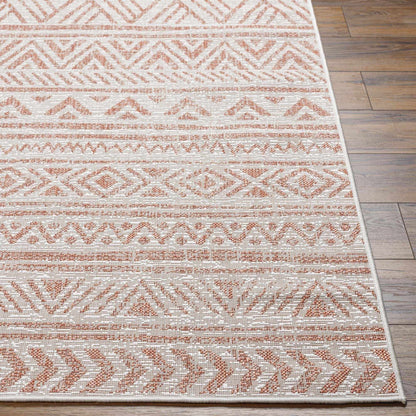 Chuck Outdoor Area Rug - Clearance