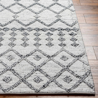 Dima Area Rug - Clearance