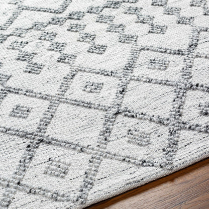 Dima Area Rug - Clearance