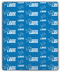 Detroit Lions NFL Team Logo Soft Blanket 60x70