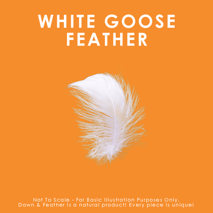 Canadian Down & Feather Company White Goose Feather Pillow, Medium Support 2 Pack