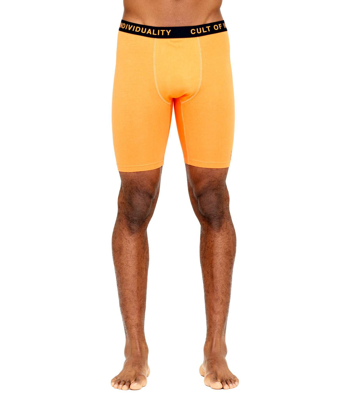 Cult of Individuality Briefs 2 Pack
