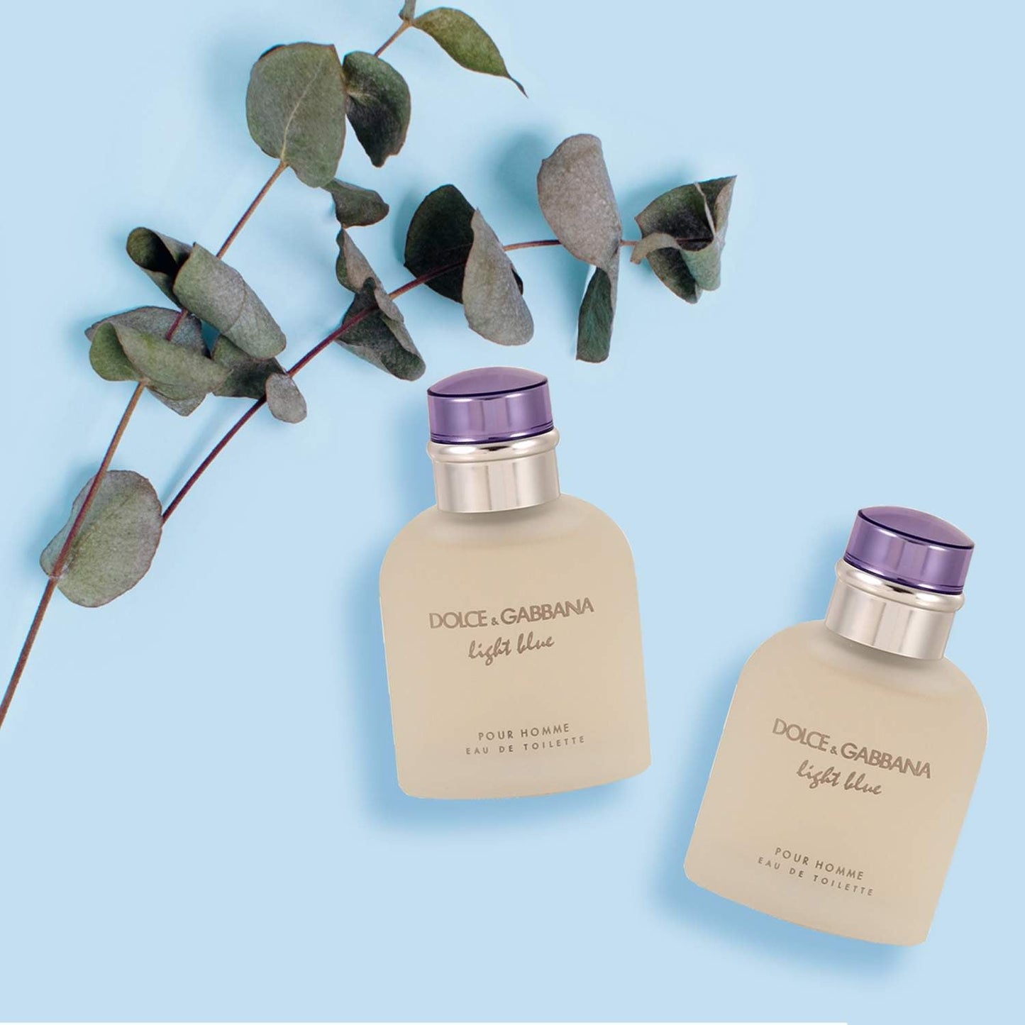 Dolce & Gabbana Light Blue Pour Homme EDT