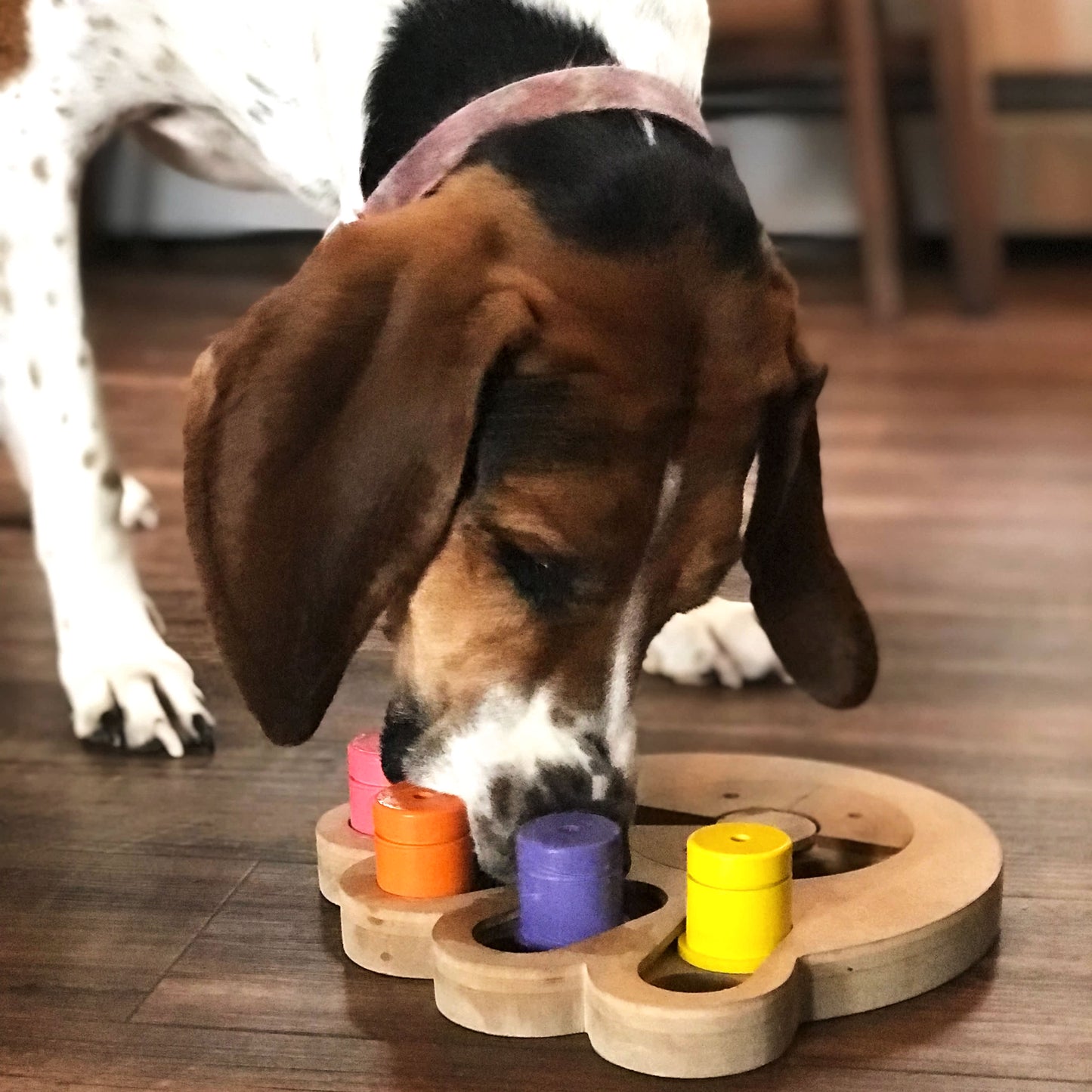 Brainiac Busy Paw Treat Dispensing Pet Toy