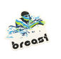 SSR Breaststroke Swim Sticker
