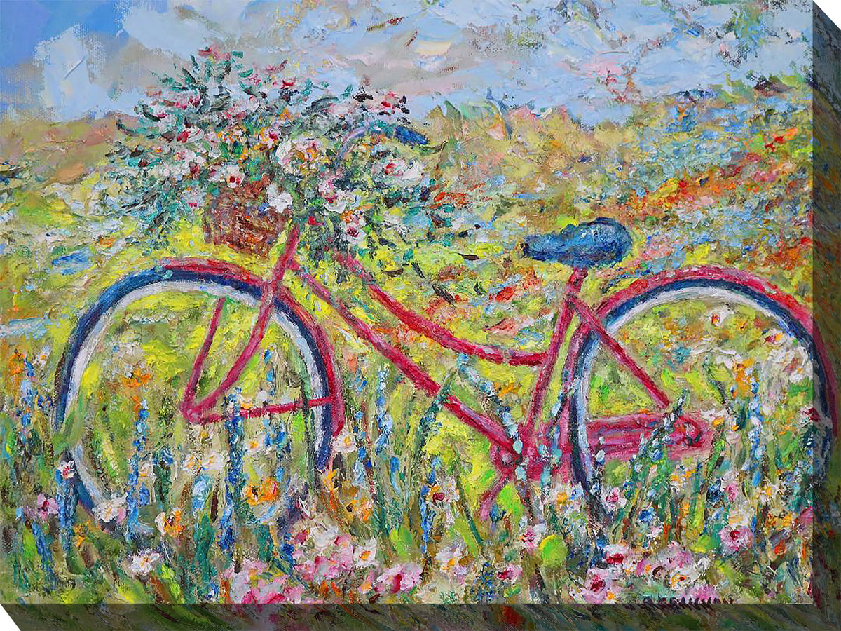 Brenda's Bike All Weather Outdoor Art