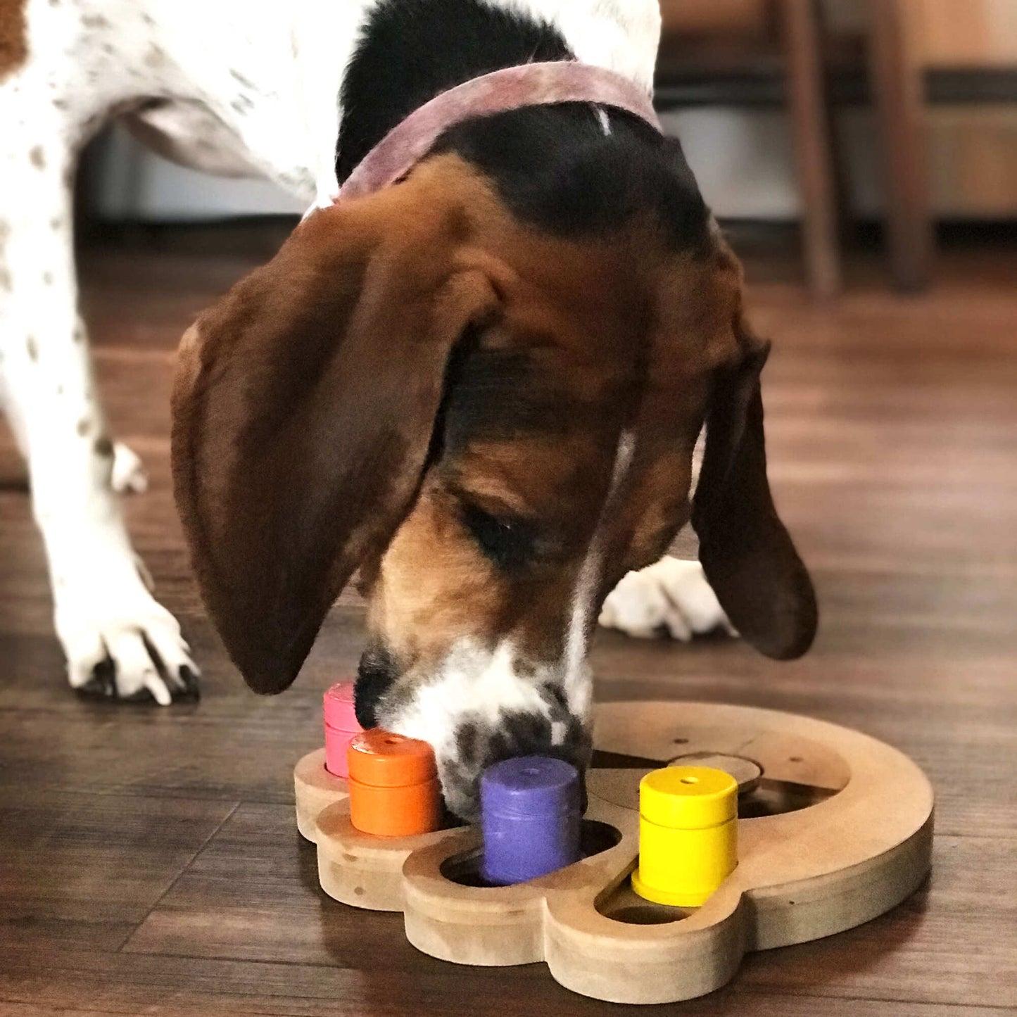 Brainiac Busy Paw Treat Dispensing Pet Toy