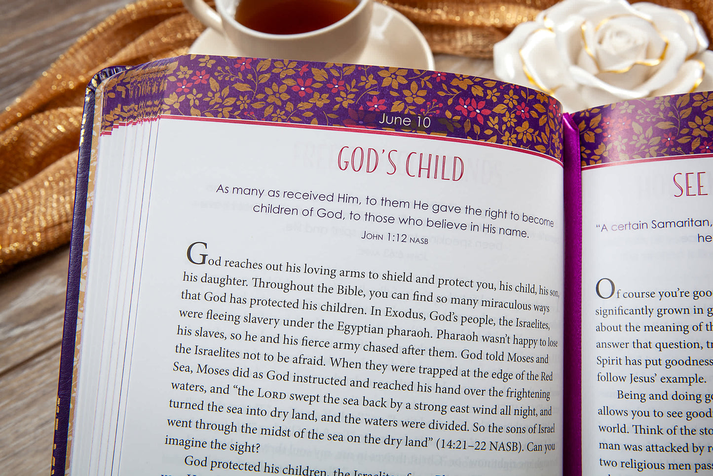 God's Word for You Today