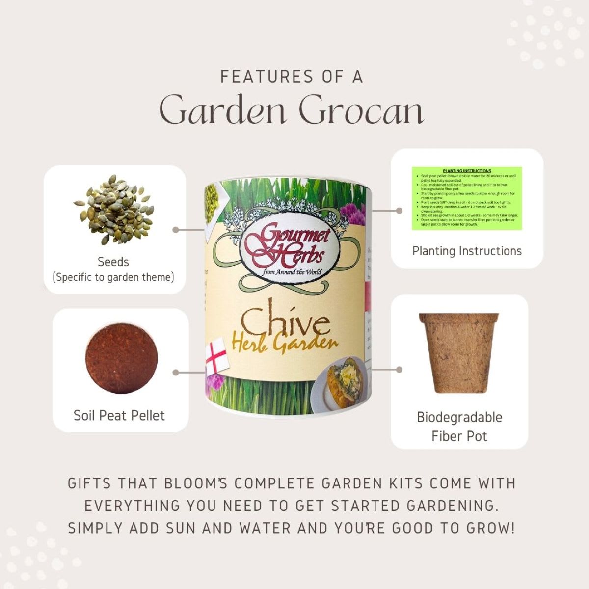 Gifts That Bloom Dinosaur Garden Grocan