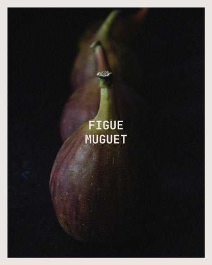Figue Muguet Candle