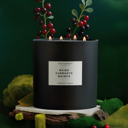 ENVIRONMENT 55oz Candle SeaWater Ozone OakMoss