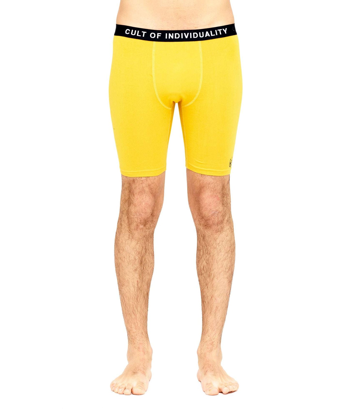 Cult of Individuality Briefs 2 Pack